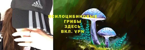 apvp Алексеевка