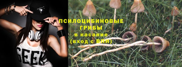 стаф Россошь