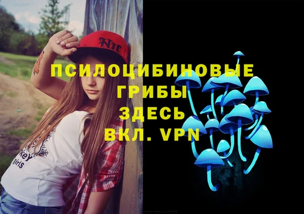 спиды Алзамай
