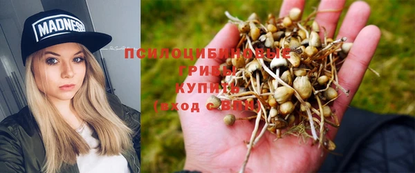 спиды Алзамай