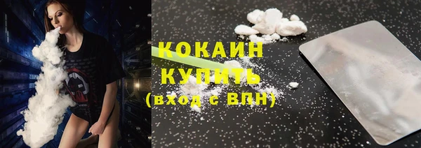 мдпв Рославль