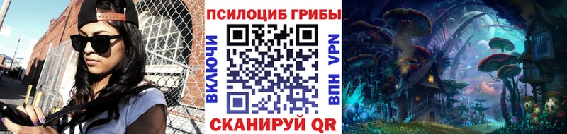 blacksprut ссылки Гдов Псилоцибиновые грибы мицелий